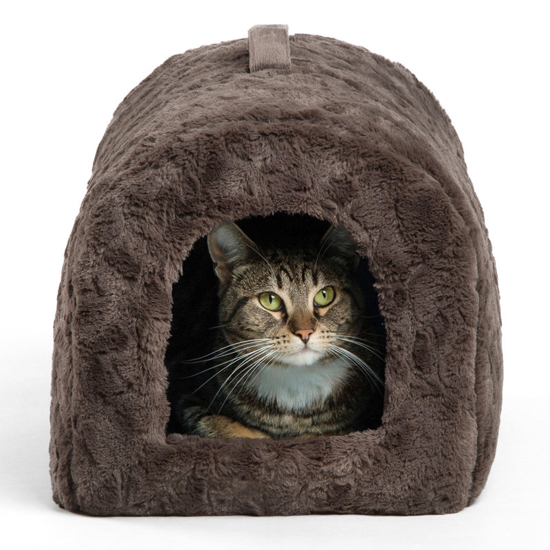 Best Friends By Sheri Lux Cat Igloo Hooded Wayfair.ca